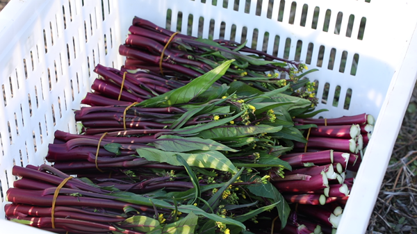 屏幕截图 2026-02-12 150958.png