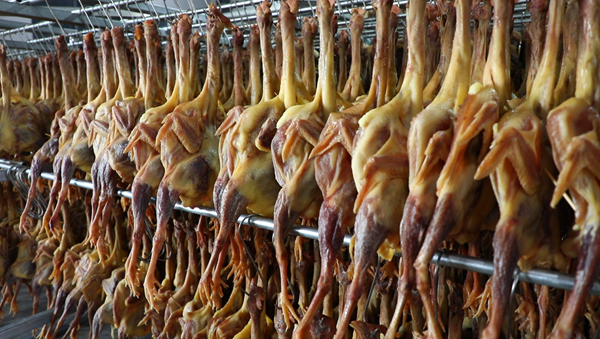 屏幕截图 2026-02-12 150351.png 屏幕截图 2026-02-12 150351.png