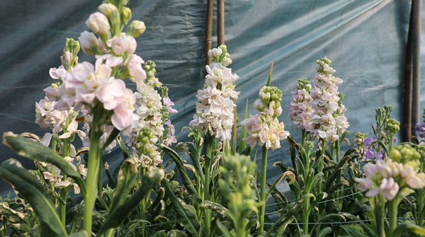 屏幕截图 2026-02-13 144918.png