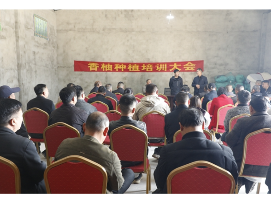 安乡举行香柚种植培训会