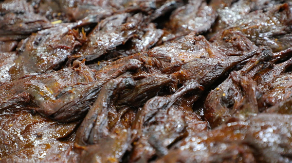 屏幕截图 2026-04-10 081236.png