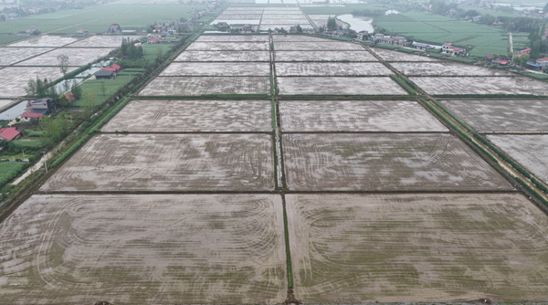 屏幕截图 2026-04-15 100017.png