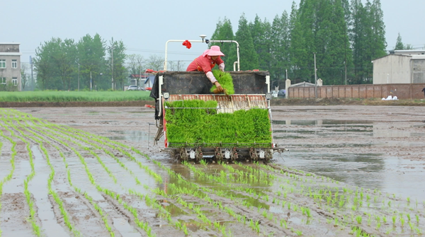 屏幕截图 2026-04-16 145858.png