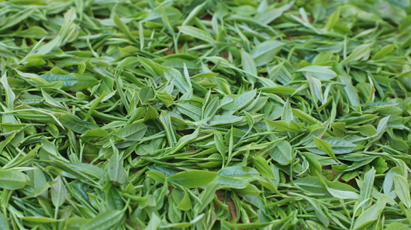 屏幕截图 2026-04-21 143344.png