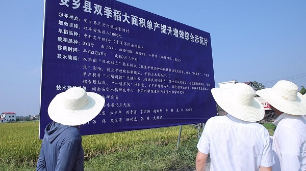 A14A2089[00-00-00][20250707-160745682].jpg