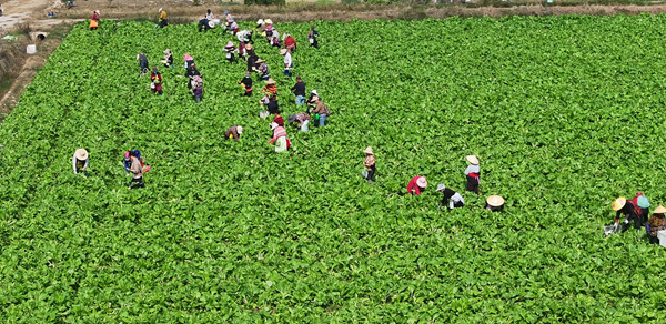 微信图片_2025-11-05_154858_629.png 微信图片_2025-11-05_154858_629.png