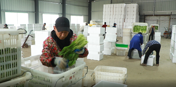 微信图片_2025-11-05_155223_500.png 微信图片_2025-11-05_155223_500.png