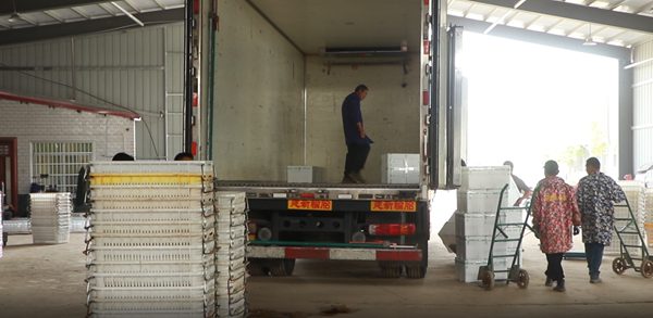 微信图片_2025-11-05_155112_093.png 微信图片_2025-11-05_155112_093.png