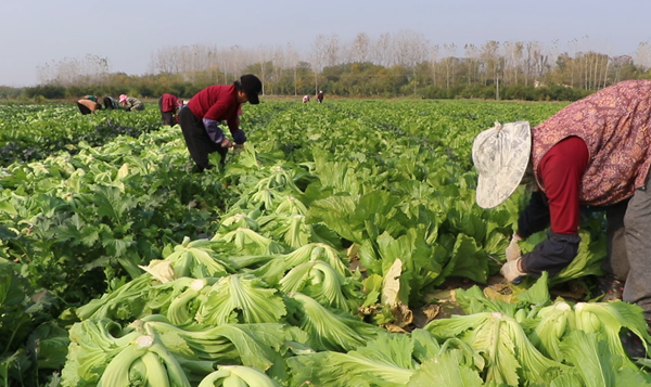 微信图片_2025-12-16_110844_157.png 微信图片_2025-12-16_110844_157.png