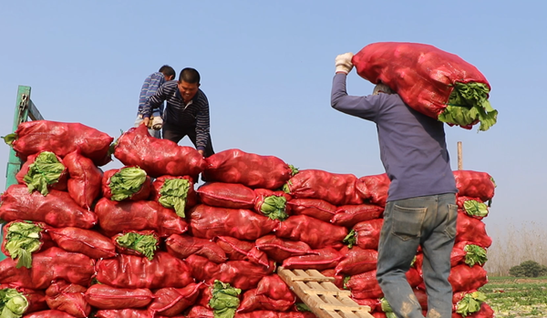 微信图片_2025-12-16_111024_660.png 微信图片_2025-12-16_111024_660.png