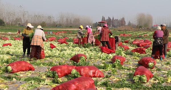 微信图片_2025-12-16_110921_244.png 微信图片_2025-12-16_110921_244.png