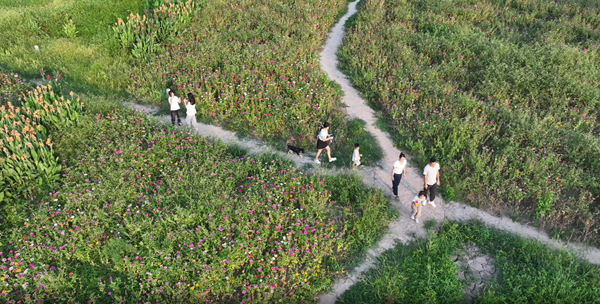 微信图片_2025-08-08_093013_248.png