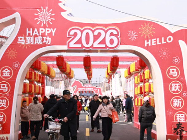 【新春走基层】安乡县：巷陌焕新颜 年货迎新春