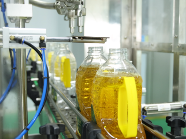 【新春走基层】安乡：深耕“一壶油”产业 激活乡村振兴新动能