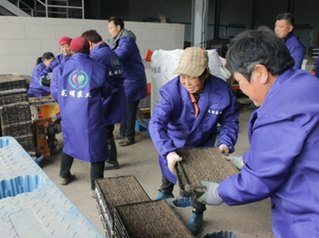 安乡：抢抓农时育秧苗 春耕备耕正当时