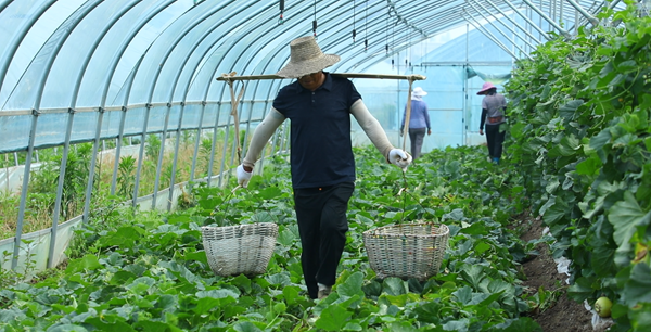 微信图片_2026-06-08_161941_222.png 微信图片_2026-06-08_161941_222.png