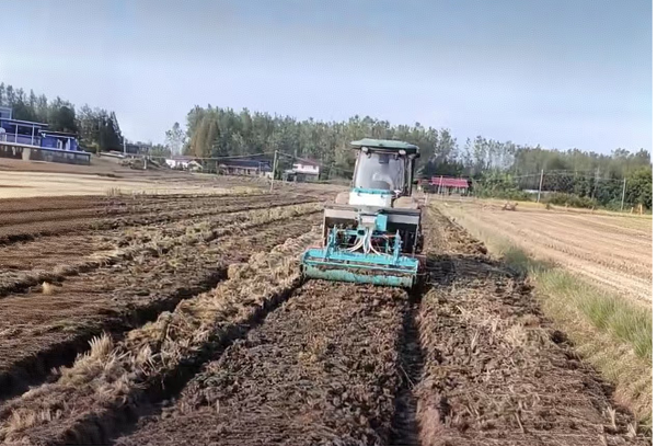 图片2.png 图片2.png