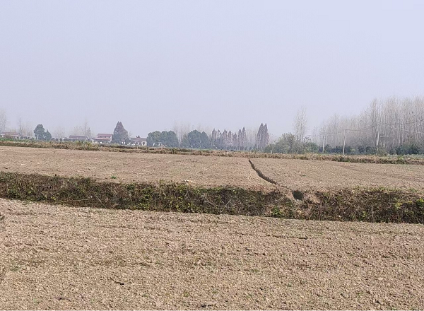 宣传稿2.png 宣传稿2.png