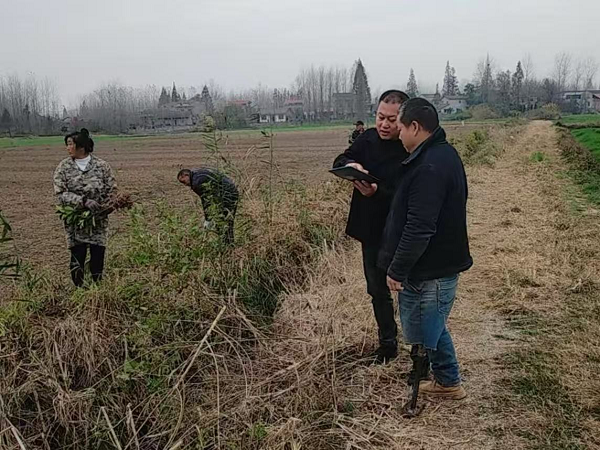 宣传稿1.png 宣传稿1.png