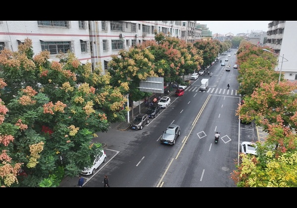 DJI_20250929101507_0029_D[00-00-06][20250930-16155047].jpg
