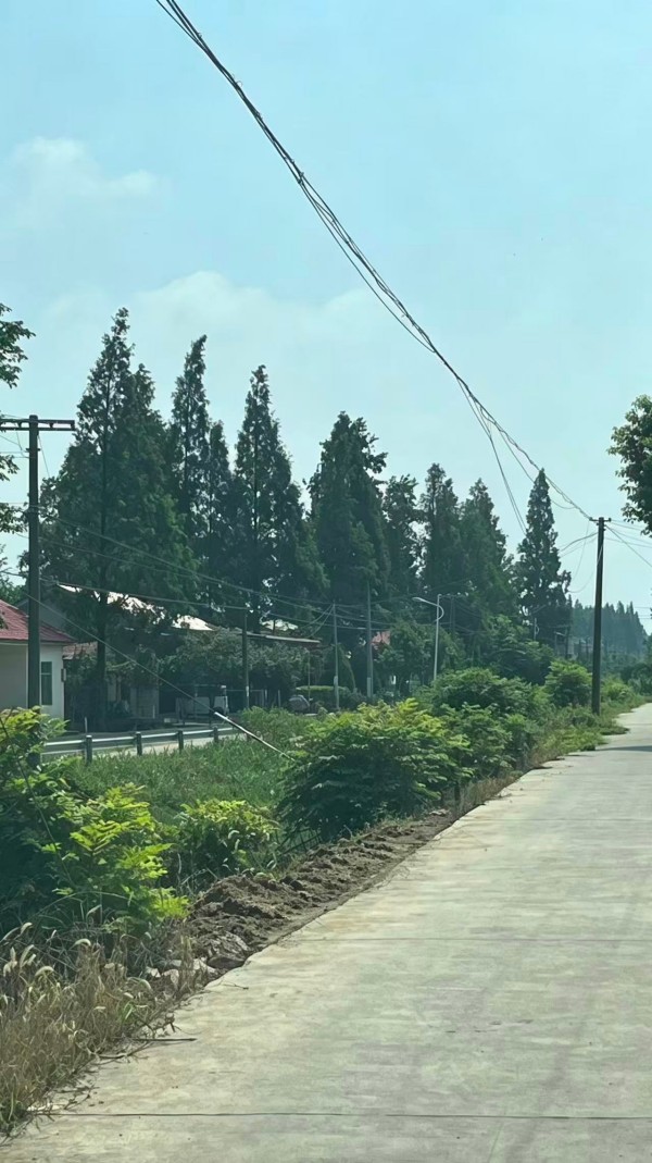 图片 2.jpg 图片 2.jpg