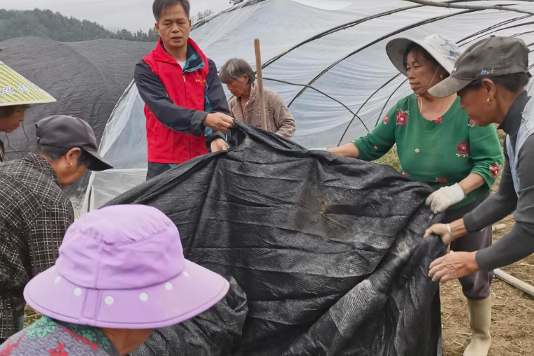 怀化移动新晃分公司：羊肚菌产业落地枫木村 助力乡村振兴