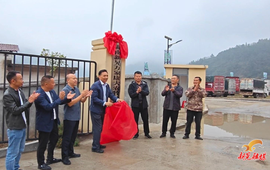 凉伞镇万家康大黄牛交易市场盛大开业 年交易额预计破亿元