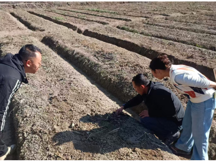 贡溪镇：“严管区”替代种植 既“治土”又致富