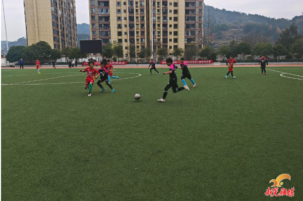 我县“乐合杯”青少年足球联赛圆满落幕