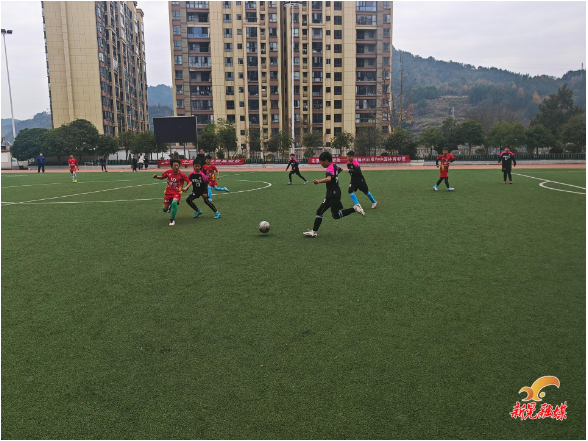 我县“乐合杯”青少年足球联赛圆满落幕
