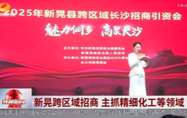 新晃跨区域招商 主抓精细化工等领域