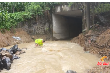风雨中的守护者：村支书徒手排险护电网