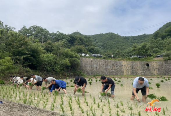 波洲镇青年突击队：青春助农显担当 深入田间解民忧