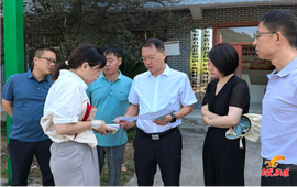 杨鹏到扶罗镇调研乡村振兴、粮食生产、软弱涣散党组织整治工作