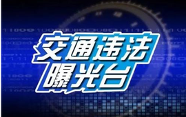 新晃县重点交通违法曝光统计表