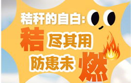 【AI图解】我是一根小秸秆，我不爱“玩火”