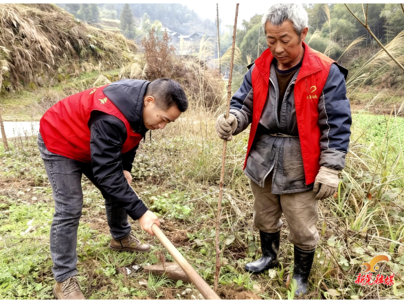 步头降苗族乡干群齐心添新绿
