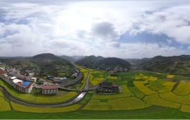 怀化新晃：贡溪镇“早、实、安”抓好春耕备耕