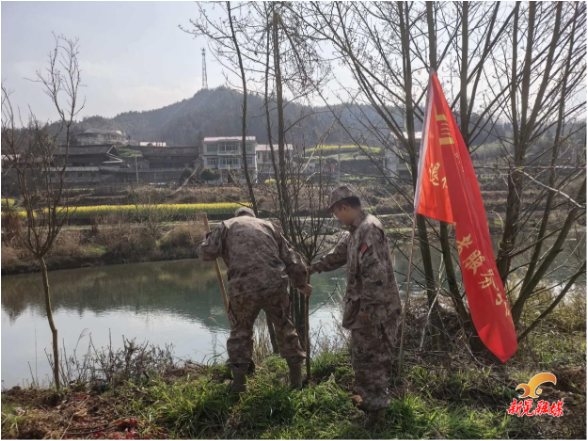 春风催新绿 植树正当时 —— 新晃各乡镇组织开展义务植树活动