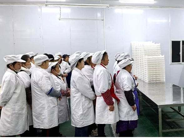 收心归位守底线 安全复产启新程