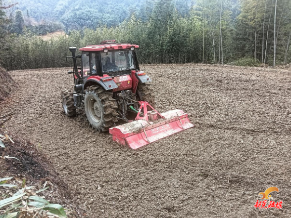 步头降苗族乡： 全力奏响春耕备耕“奋进曲”