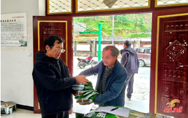 凉伞镇台洞村：发放低镉水稻种子 赋能增产增收