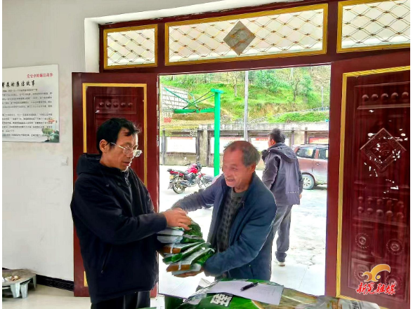 凉伞镇台洞村：发放低镉水稻种子 赋能增产增收