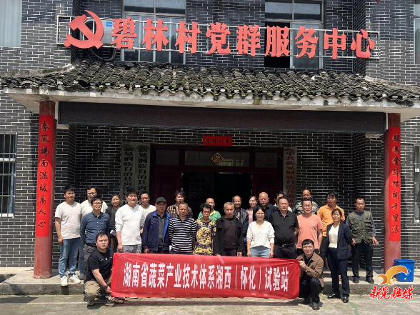 专家送技进碧林 科技助农促振兴