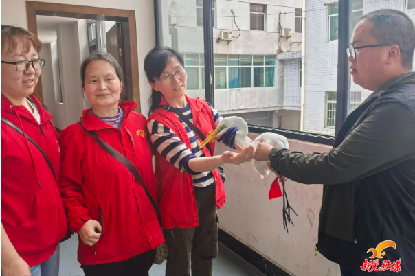 新晃志愿者暖心救助国家二级保护动物白鹭
