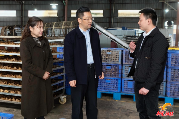 贺遵庆来晃调研