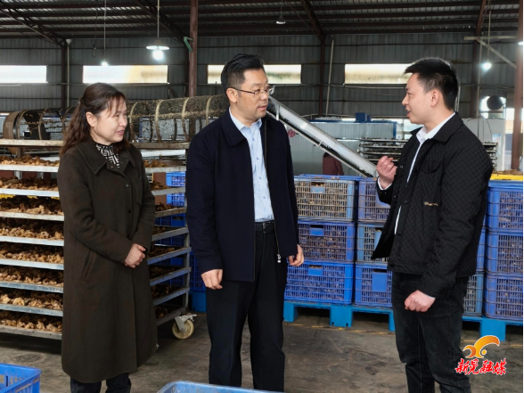 贺遵庆来晃调研