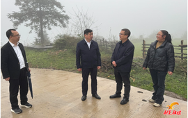 符家盛到鱼市镇、林冲镇调研当前重点工作