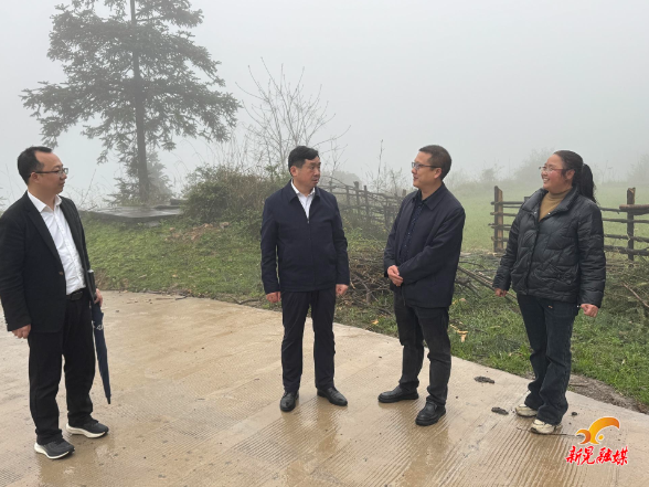 符家盛到鱼市镇、林冲镇调研当前重点工作