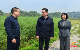 符家盛到禾滩镇、扶罗镇、贡溪镇调研当前重点工作